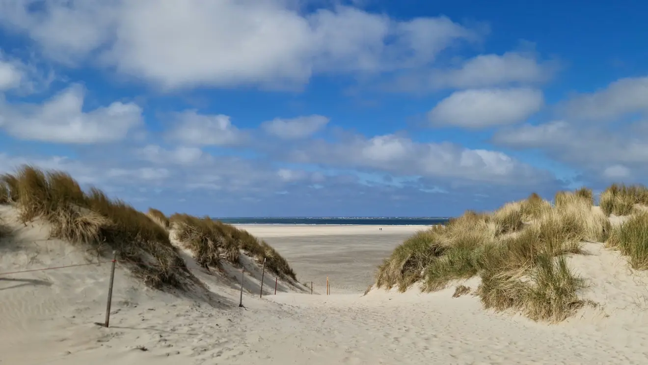 Mooi weer op Texel - Frans Alderse Baas