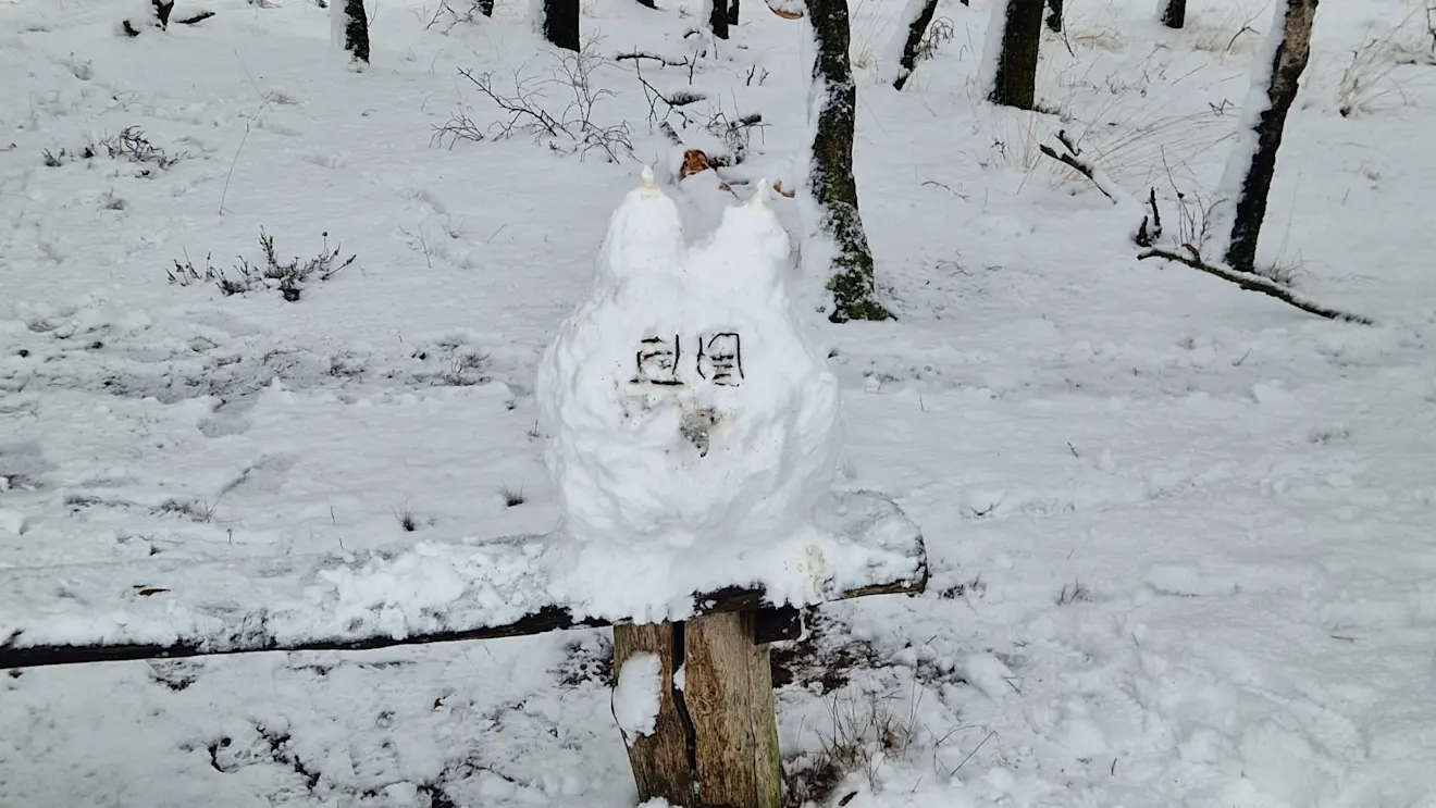 We bouwen een sneeuwuil - Reinout van den Born