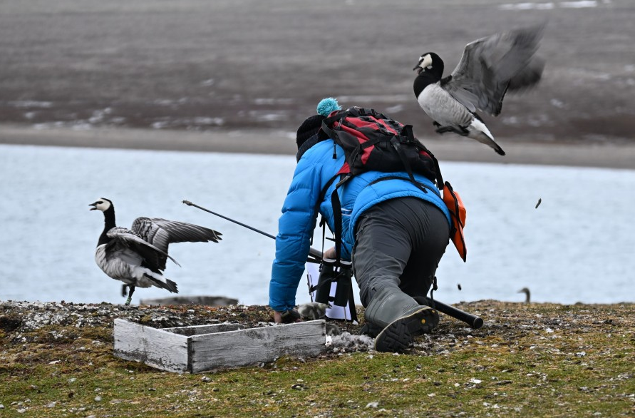 Nesten controleren is een gevecht - via Poolstation.nl