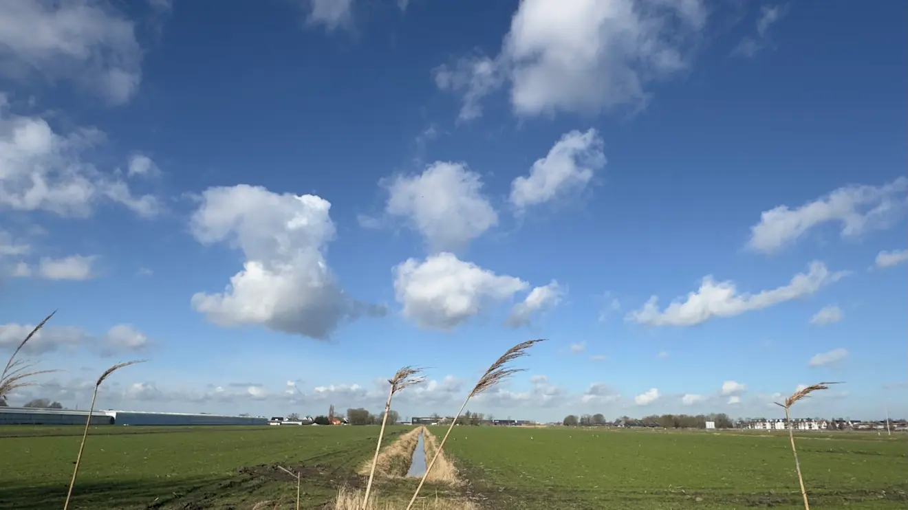 En ineens zijn ze er weer: de Hollandse Wolkenluchten - Jolanda Bakker