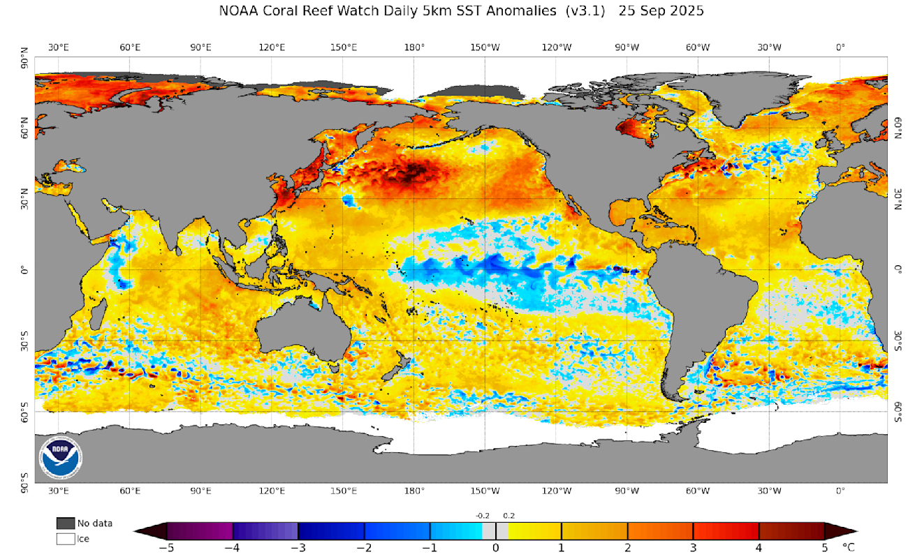 De afwijkingen van de watertemperaturen op de wereldzeeën. Duidelijk is de extreme afwijking op het noordelijke deel van de Groet oceaan te zien - NOAA