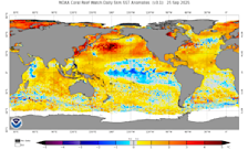 De afwijkingen van de watertemperaturen op de wereldzeeën. Duidelijk is de extreme afwijking op het noordelijke deel van de Groet oceaan te zien - NOAA