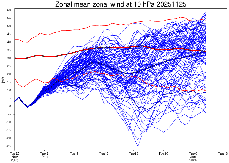 De verwachting met betrekking tot de kracht van de poolwervel van het Europese model. De kortdurende SSW van de komende dagen is goed te zien; alle lijntjes gaan dan naar nul. Vanaf halverwege december zien we een nieuw signaal. Als er dan een SSW uit de bus zou komen, is die wellicht van het absorberende type - ECMWF