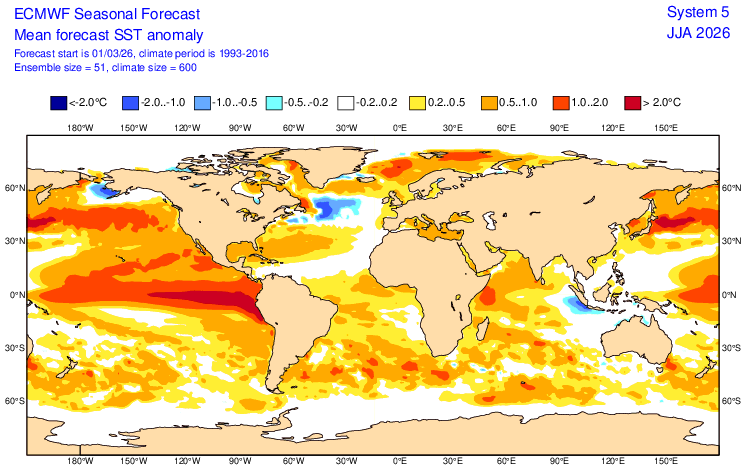 De verwachting voor later dit van het Europese rekenmodel. Langs de evenaar, op de Grote Oceaan vanaf Zuid-Amerika is de strook met warm zeewater, die bij de verwachte, sterke El Niño hoort, goed te zien - ECMWF