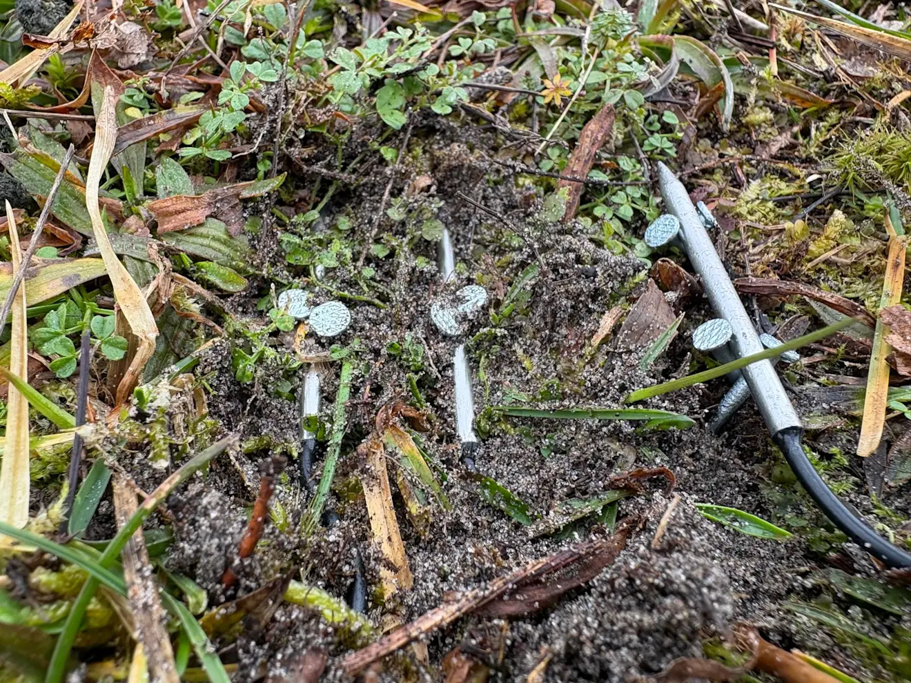 De meetopstelling in duinpan Wimmenum - Pieter Bliek