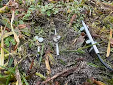 De meetopstelling in duinpan Wimmenum - Pieter Bliek