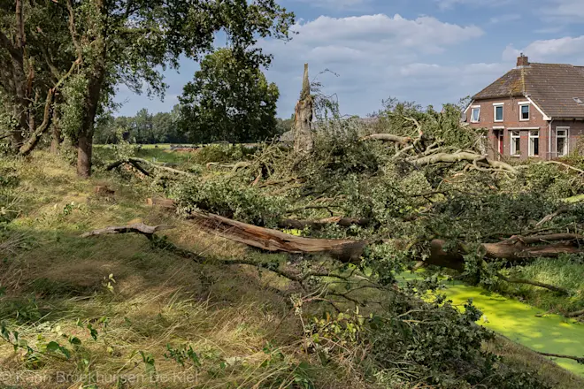 De schade voor het huis is enorm - Karin Broekhuijsen