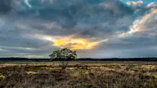 Een 'Ring of Fire' boven de heide van Laren - John Oomen