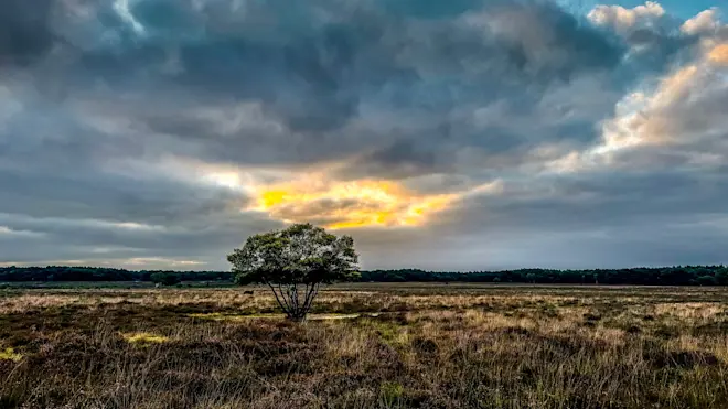 Een 'Ring of Fire' boven de heide van Laren - John Oomen