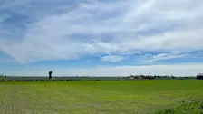Hoe bewolking boven het Zuid-Hollandse land - Jolanda Bakker