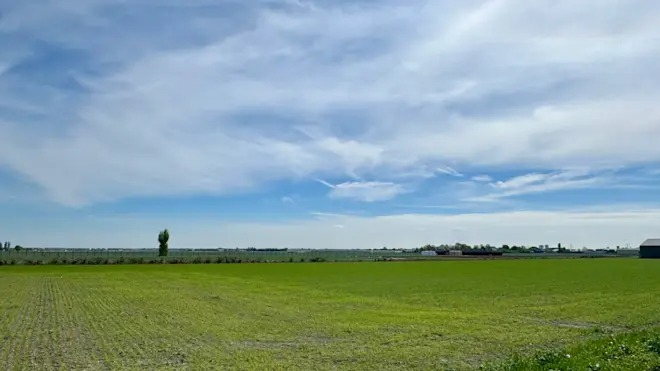 Hoe bewolking boven het Zuid-Hollandse land - Jolanda Bakker