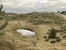 Duinpan met meertje
