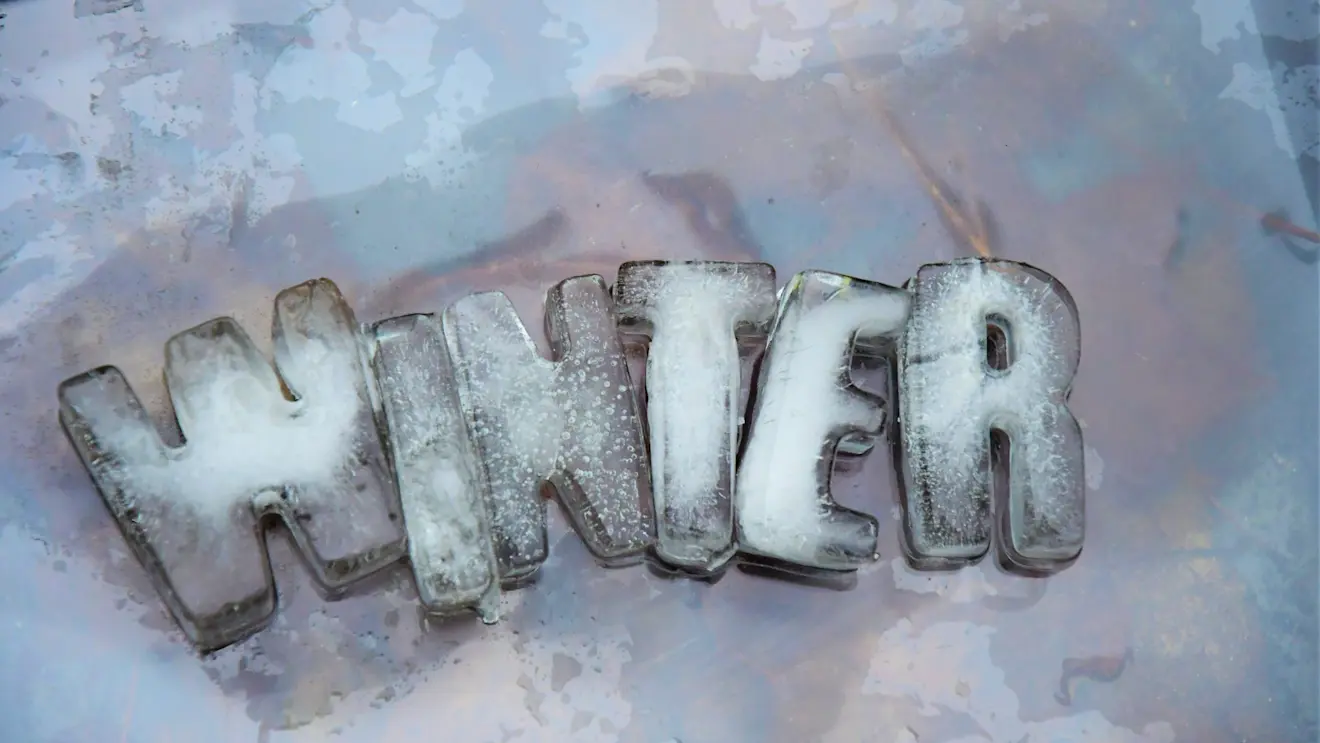 Winter - Cynthia van Leusden