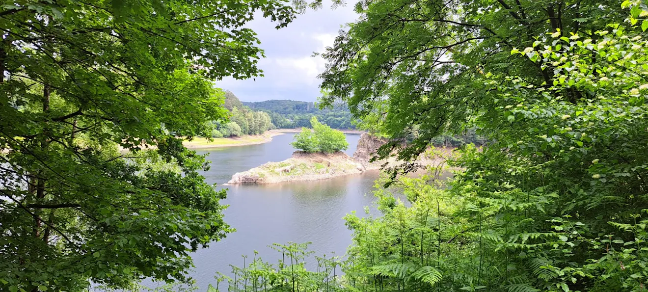 Het stuwmeer bij Wuppertal. Van het eilandje in het midden zijn normaal alleen de bomen te zien. Nu staat het water er meters onder - Grieta Spannenburg