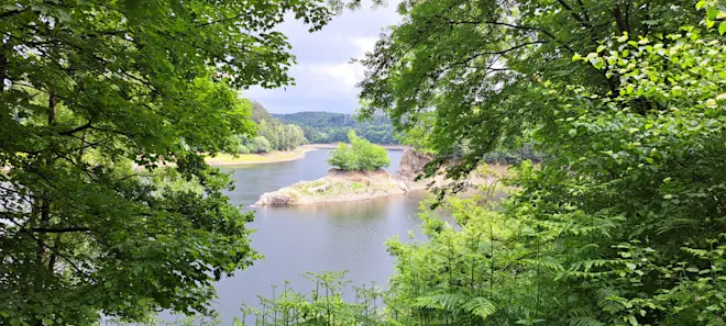 Het stuwmeer bij Wuppertal. Van het eilandje in het midden zijn normaal alleen de bomen te zien. Nu staat het water er meters onder - Grieta Spannenburg