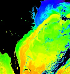 De Warme Golfstroom, zoals hij langs de kust van de VS naar het noorden stroomt - Terra Modis / NASA