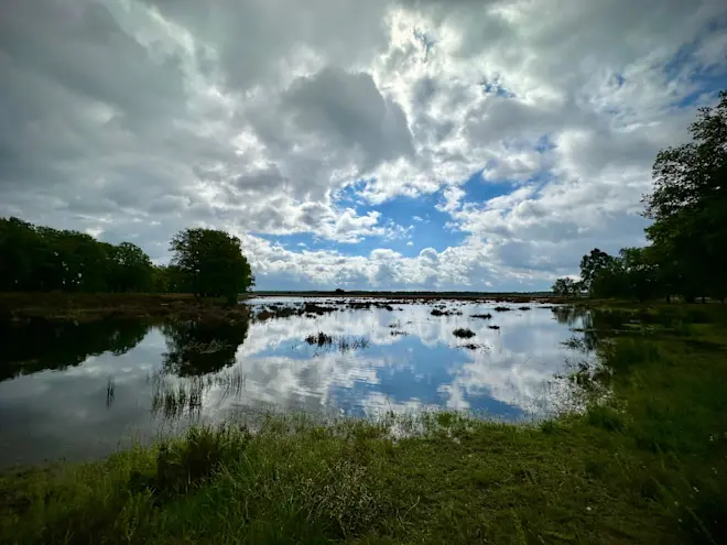 De omgeving van de Houtbeek in Stroe staat onder water - Tycho van den Born