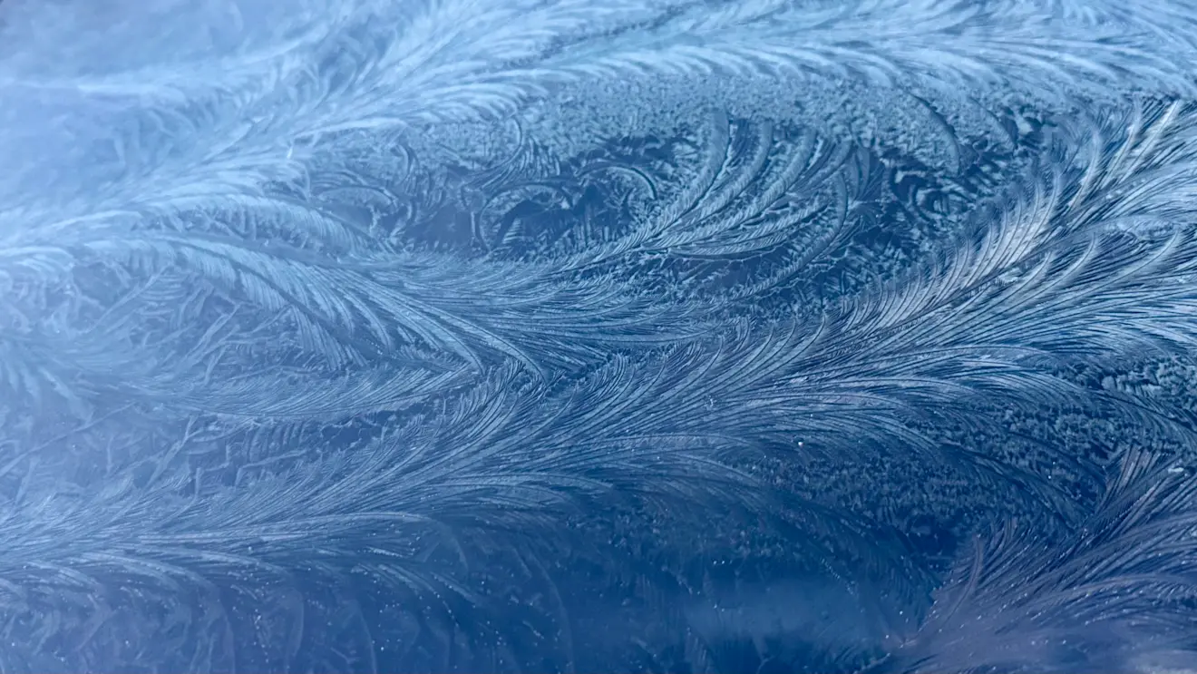 IJsbloemen - Jolanda Bakker