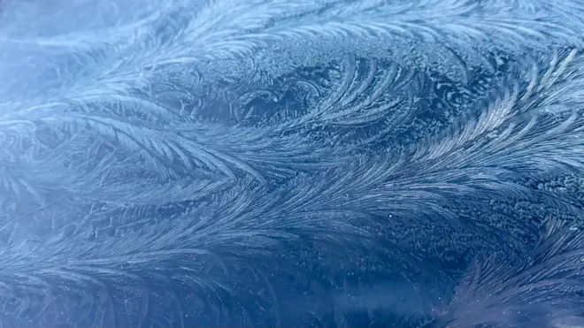 IJsbloemen - Jolanda Bakker