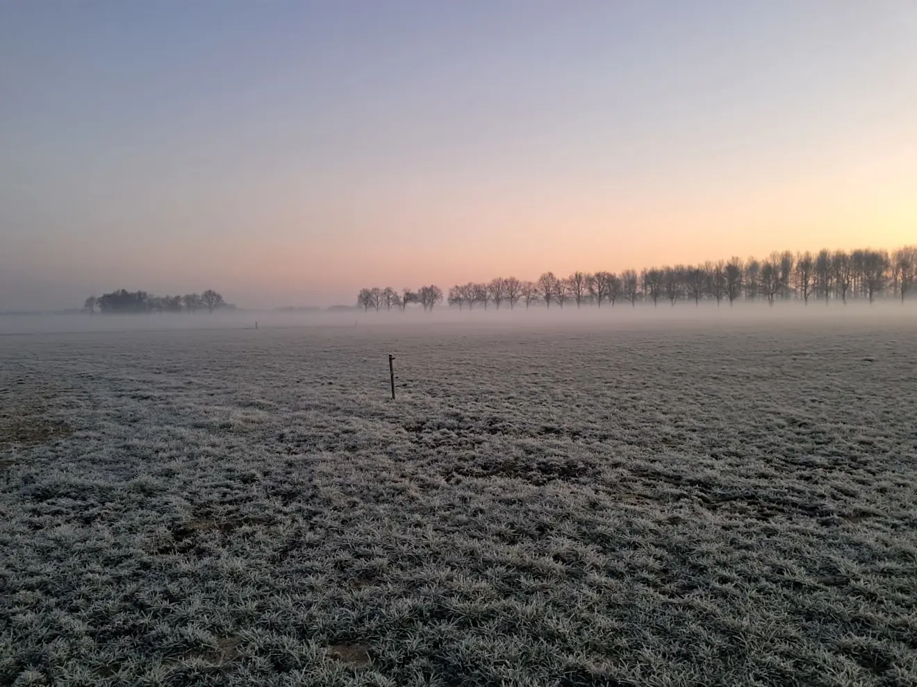 Een vorstige start van de dag - Gerrit Woertink