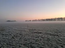 Een vorstige start van de dag - Gerrit Woertink
