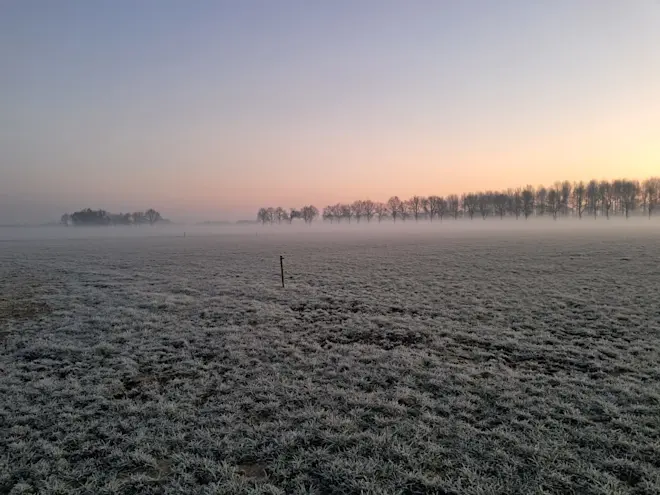 Een vorstige start van de dag - Gerrit Woertink