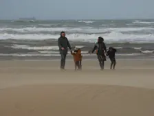 De dag begon op het strand nog met veel wind - Chris Meewis