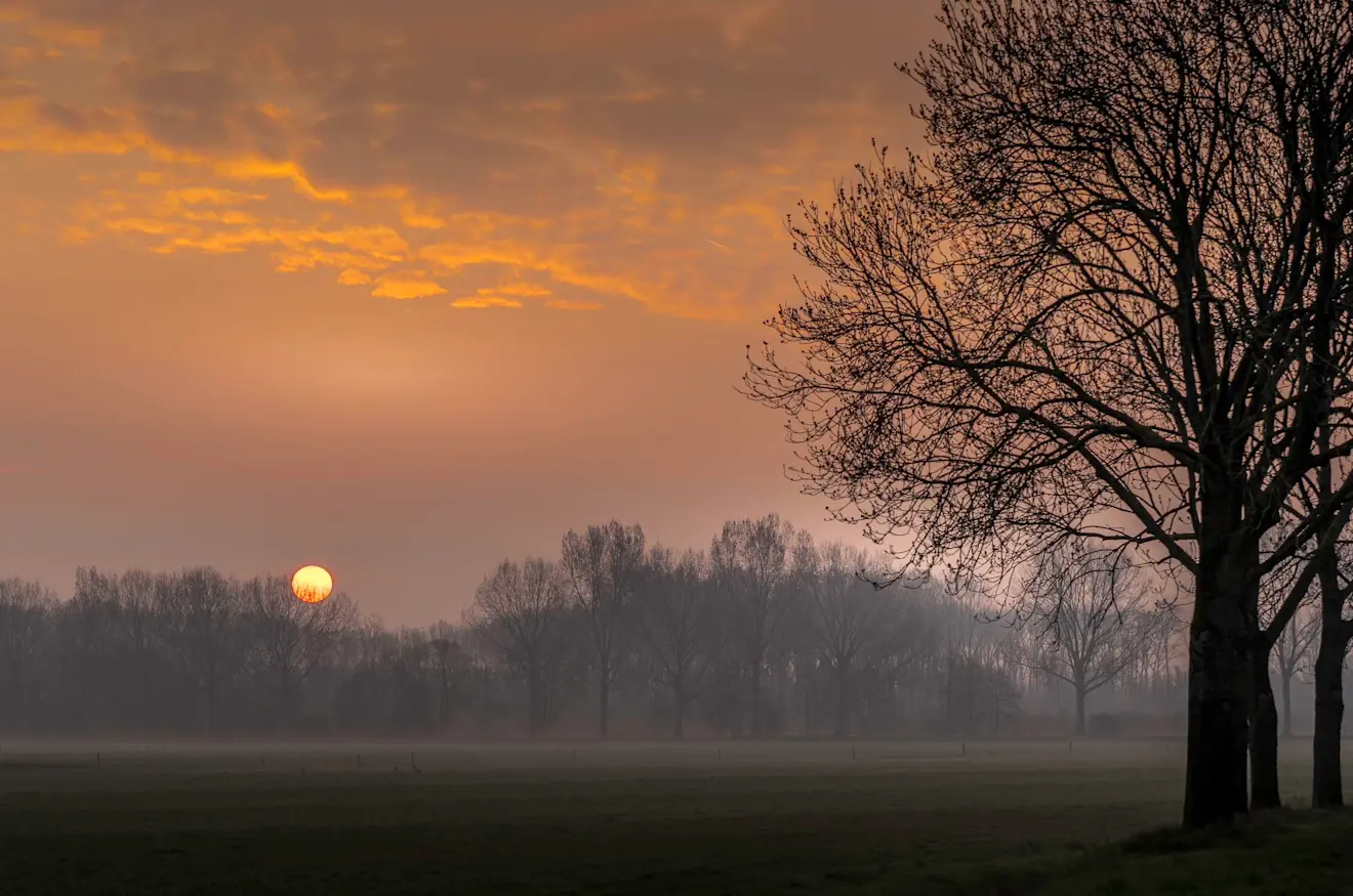 De zon komt op in de nevel - John Oomen