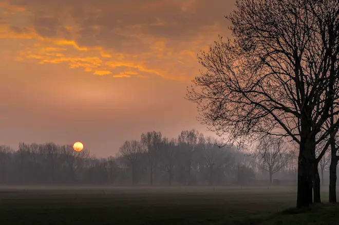 De zon komt op in de nevel - John Oomen