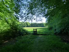 Zo droog als het al lange tijd is, zo groen is toch ook nog de natuur - Chris Meewis