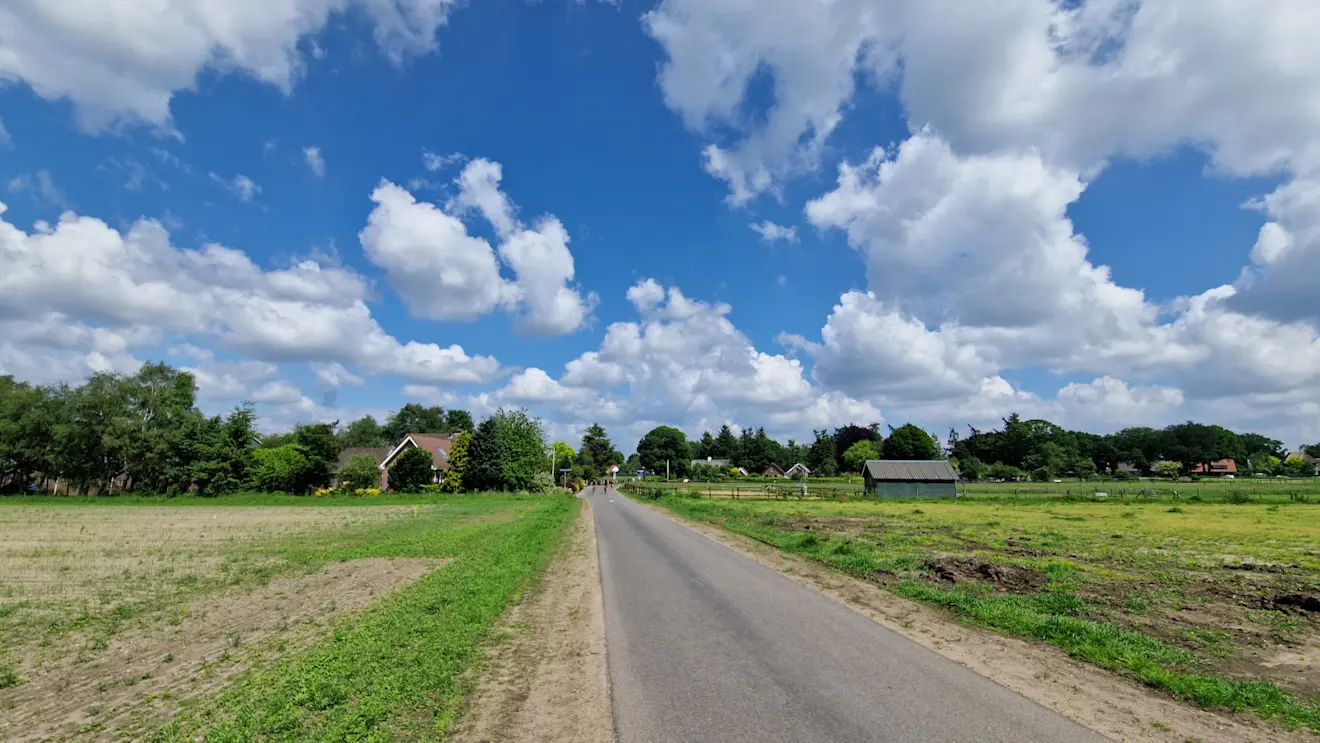 Zomerweer in de buurt van Garderen - Reinout van den Born