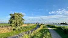 Na volgende week zou het stabiele terug kunnen keren - Jolanda Bakker