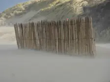 Morgen uitwaaien op het strand - Chris Meewis