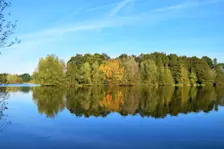 Kleurrijke herfstdagen liggen in het verschiet - Cynthia van Leusden