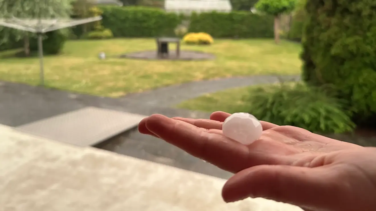Dikke hagel - Jolanda Bakker