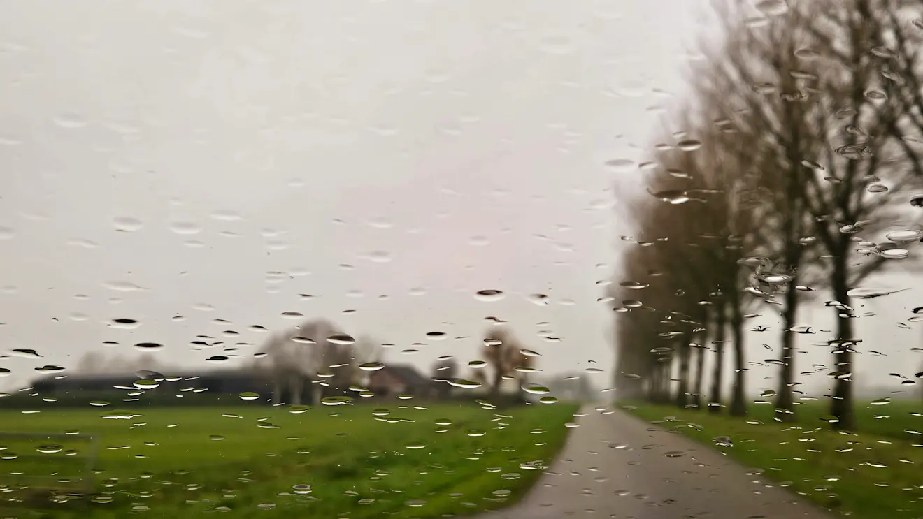 Een veel gezien beeld, de afgelopen dagen in Nederland. Grijs, donker en motregen... - Nely van Frankenhuyzen
