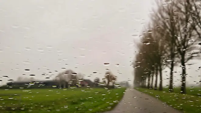 Een veel gezien beeld, de afgelopen dagen in Nederland. Grijs, donker en motregen... - Nely van Frankenhuyzen