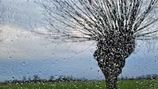 Wolken en nu en dan regen domineren het Nederlandse weer de komende dagen - Nely van Frankenhuyzen