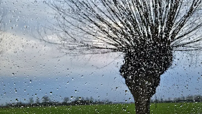 Wolken en nu en dan regen domineren het Nederlandse weer de komende dagen - Nely van Frankenhuyzen