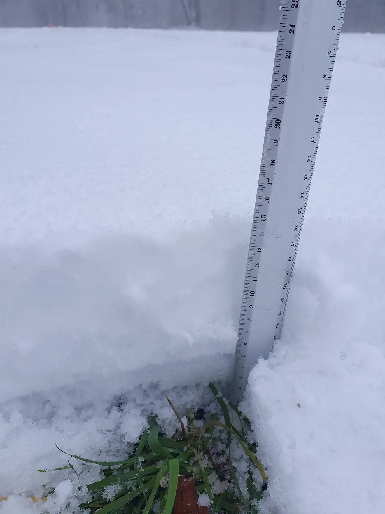 Sneeuwmeting op de Vaalserberg - Tim de Lange