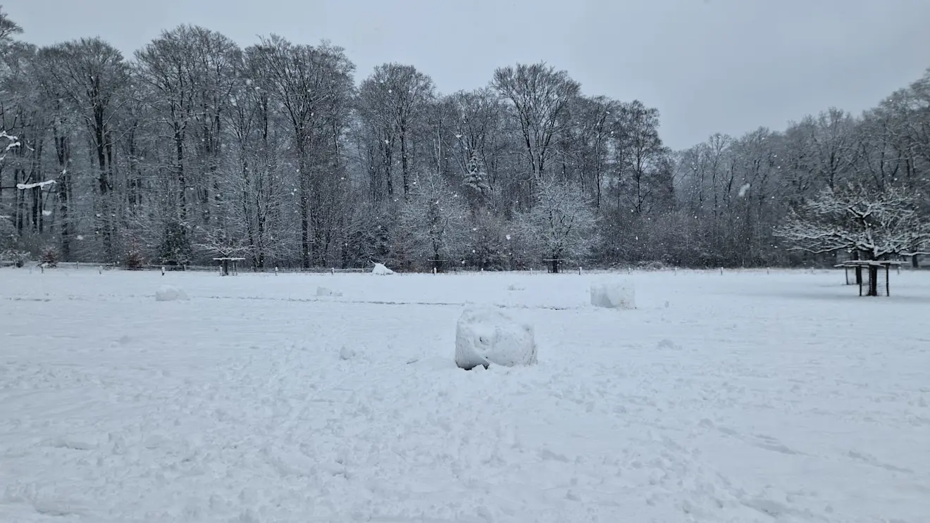 Sneeuw met ballen in Rozendaal - Reinout van den Born