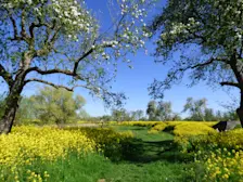 Prachtige kleuren in de natuur bij Schalkwijk - Chris Meewis