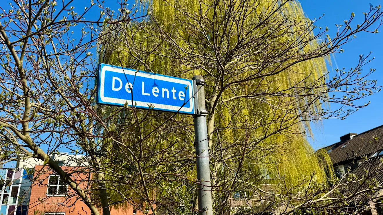 Lente - Jolanda Bakker