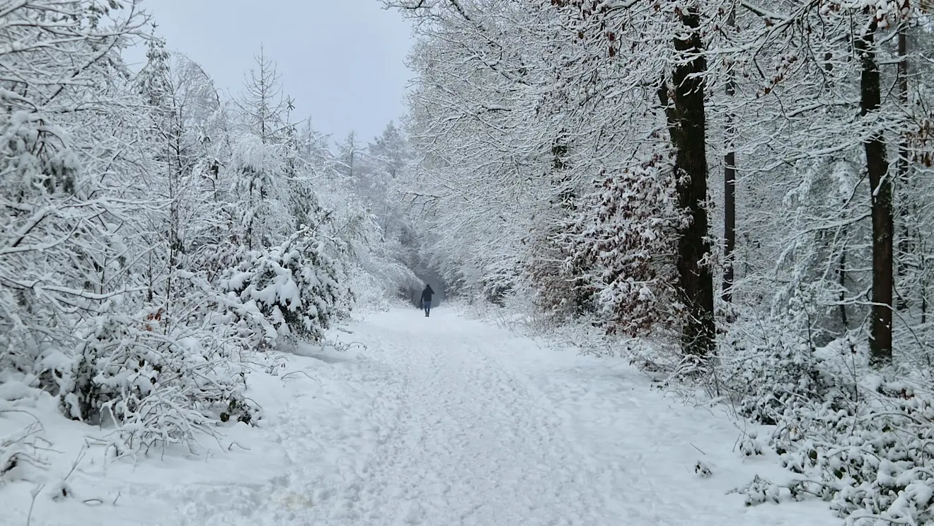 Wandelen door de sneeuw. Niets mooiers dan dat - Reinout van den Born