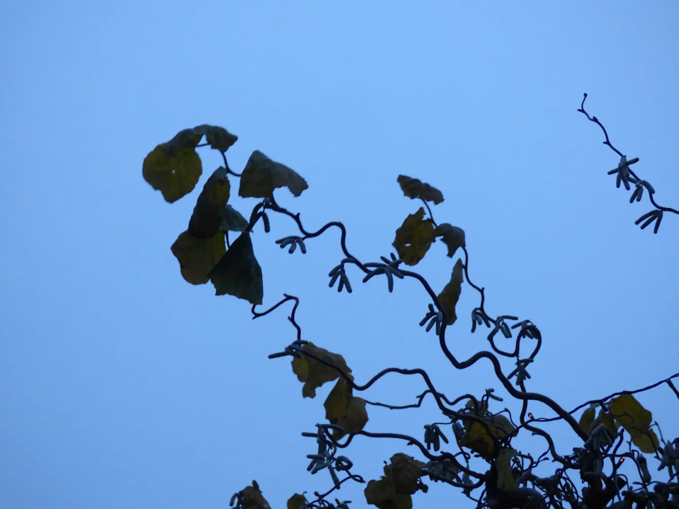 Grijs weer - Chris Meewis