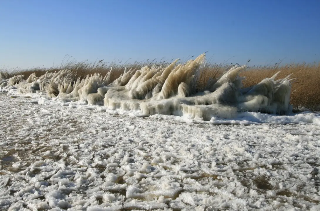 IJssculpturen aan de oevers van het water in maart 2013 - Jannes Wiersema