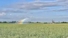 Sproeiers in het land bij Zevenhuizen - Jolanda Bakker