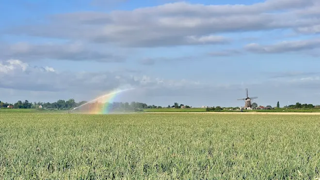 Sproeiers in het land bij Zevenhuizen - Jolanda Bakker