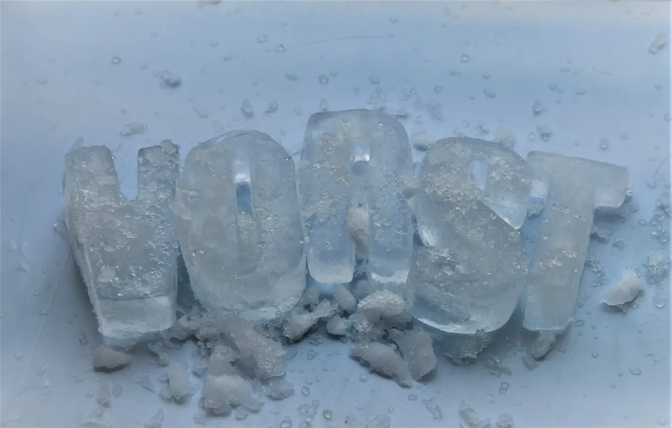 Vorst - Cynthia van Leusden