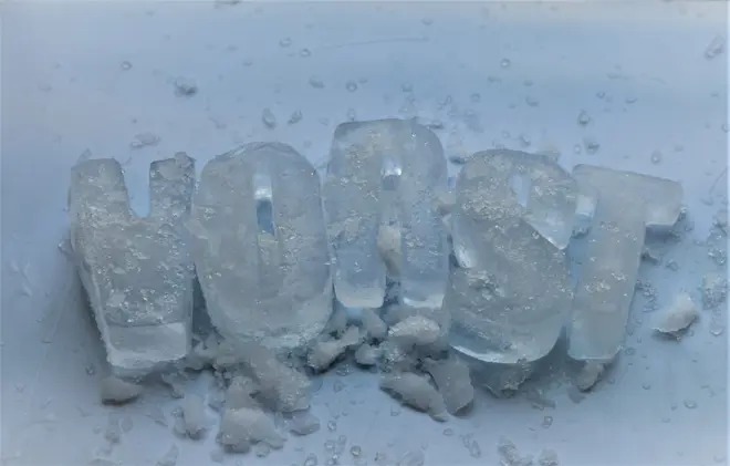 Vorst - Cynthia van Leusden